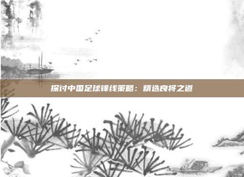 探讨中国足球锋线策略：精选良将之道