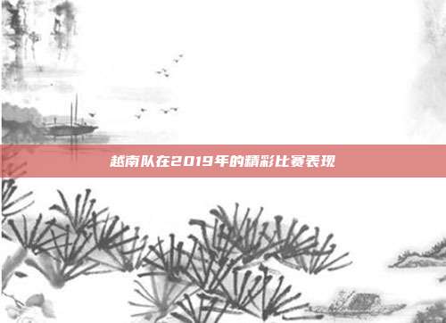 越南队在2019年的精彩比赛表现