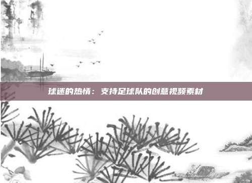 球迷的热情：支持足球队的创意视频素材