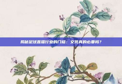 揭秘足球直播行业的门槛：文凭真的必要吗？