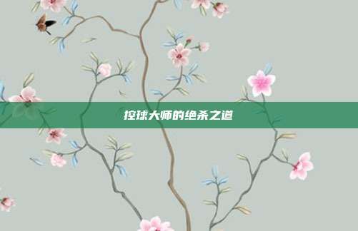 控球大师的绝杀之道