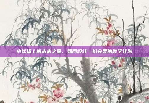 小球场上的未来之星：如何设计一份完美的教学计划