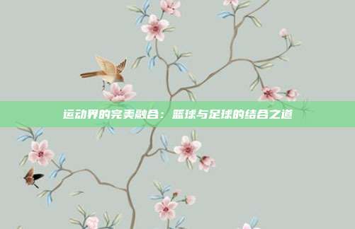 运动界的完美融合：篮球与足球的结合之道