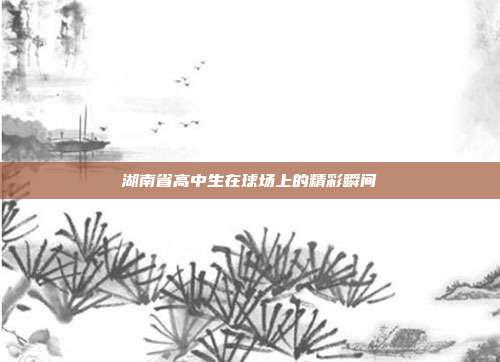 湖南省高中生在球场上的精彩瞬间