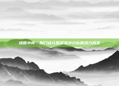 绿茵小将：荆门幼儿园足球小分队的活力风采