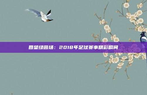 回望绿茵场：2018年足球赛事精彩瞬间