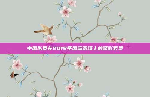 中国队员在2019年国际赛场上的精彩表现