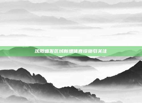 沈阳盛发区域新增体育设施引关注