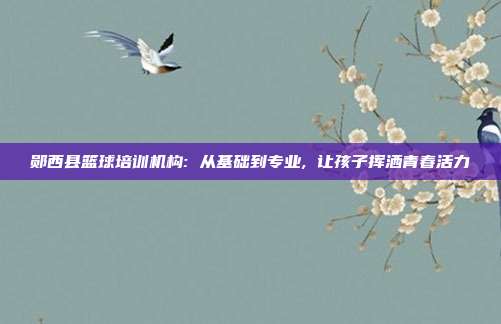 郧西县篮球培训机构: 从基础到专业, 让孩子挥洒青春活力