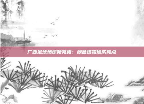 广西足球场惊艳亮相：绿色植物墙成亮点