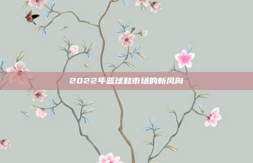 2022年篮球鞋市场的新风向