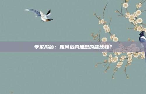 专家揭秘：如何选购理想的篮球鞋？