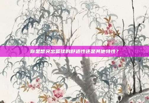 你是想突出篮球的舒适性还是其他特性？