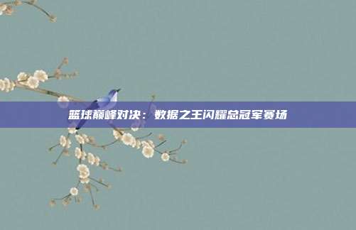 篮球巅峰对决：数据之王闪耀总冠军赛场