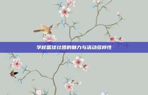 学校篮球社团的魅力与活动多样性