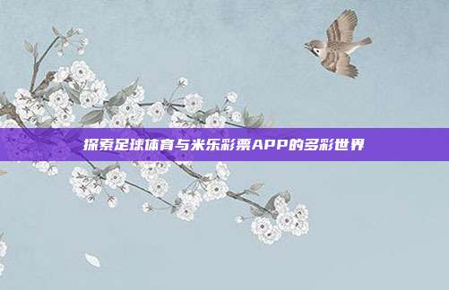 探索足球体育与米乐彩票APP的多彩世界