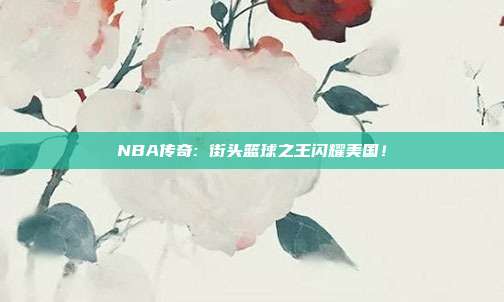 NBA传奇: 街头篮球之王闪耀美国！