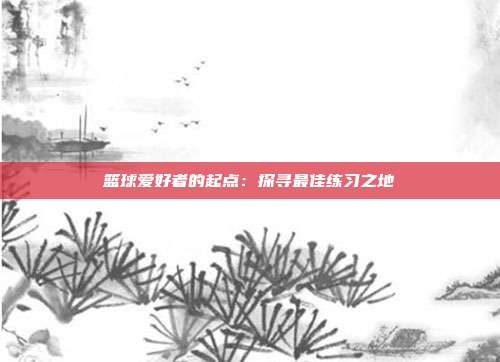 篮球爱好者的起点：探寻最佳练习之地