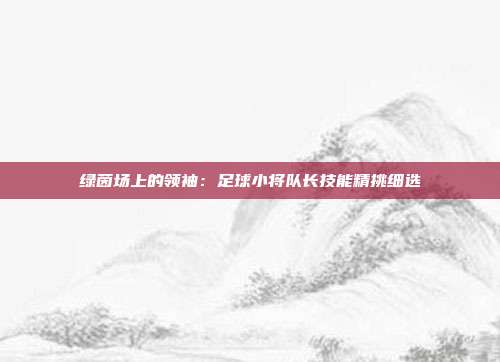 绿茵场上的领袖：足球小将队长技能精挑细选