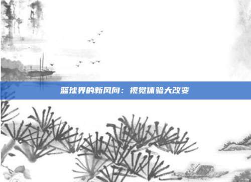 篮球界的新风向：视觉体验大改变