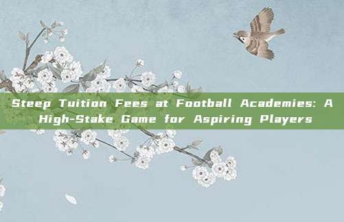 Steep Tuition Fees at Football Academies: A High-Stake Game for Aspiring Players