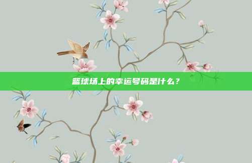 篮球场上的幸运号码是什么？