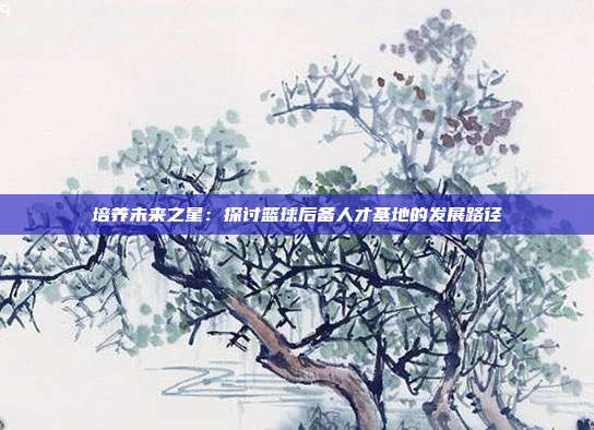 培养未来之星：探讨篮球后备人才基地的发展路径