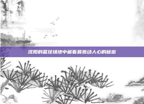 沈阳的篮球场地中藏着最激动人心的秘密