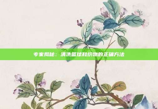 专家揭秘：清洗篮球鞋织物的正确方法