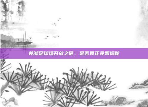 芜湖足球场开放之谜：是否真正免费揭秘