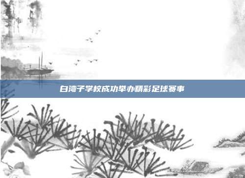 白湾子学校成功举办精彩足球赛事