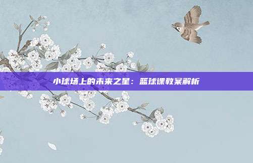 小球场上的未来之星：篮球课教案解析