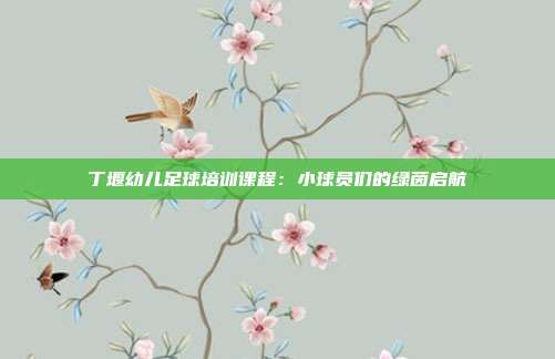 丁堰幼儿足球培训课程：小球员们的绿茵启航