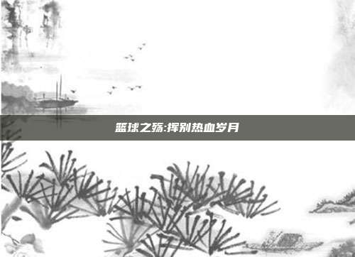 篮球之殇:挥别热血岁月