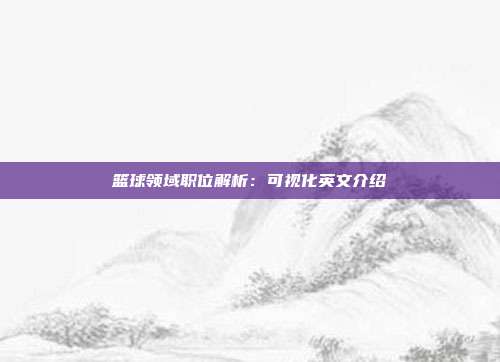 篮球领域职位解析：可视化英文介绍