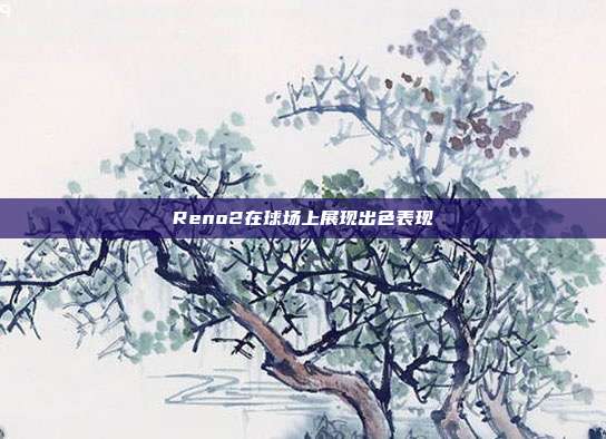 Reno2在球场上展现出色表现