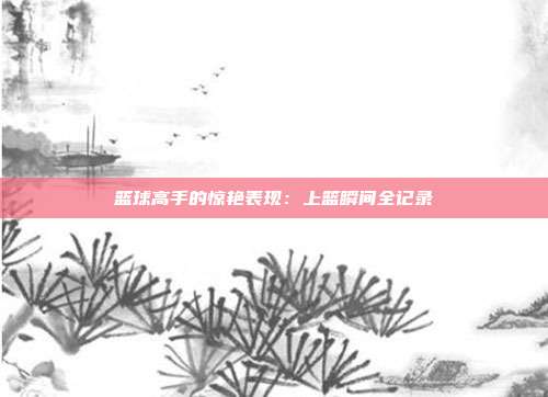 篮球高手的惊艳表现：上篮瞬间全记录