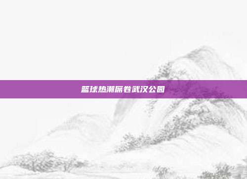 篮球热潮席卷武汉公园