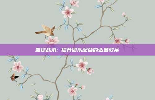 篮球战术: 提升团队配合的必备教案