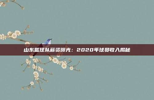 山东篮球队薪资曝光：2020年球员收入揭秘