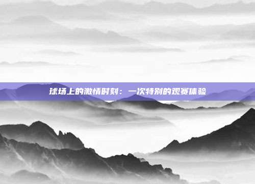 球场上的激情时刻：一次特别的观赛体验