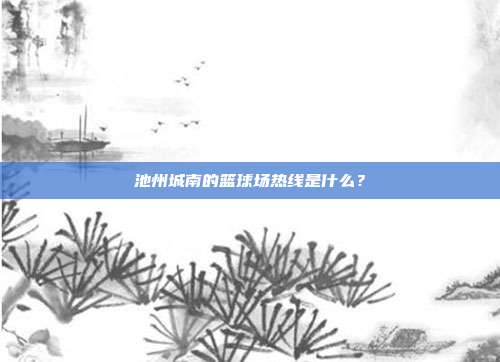 池州城南的篮球场热线是什么？