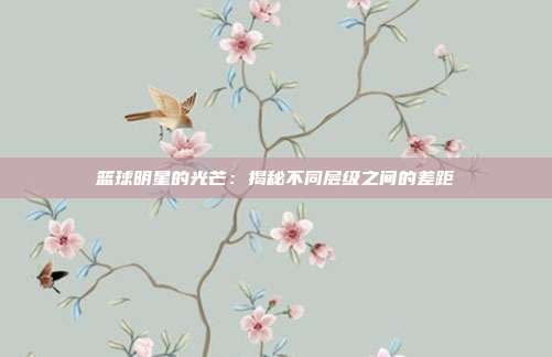 篮球明星的光芒：揭秘不同层级之间的差距