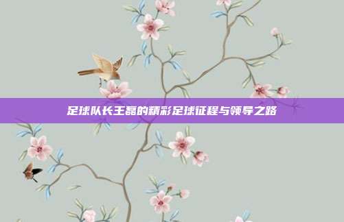 足球队长王磊的精彩足球征程与领导之路