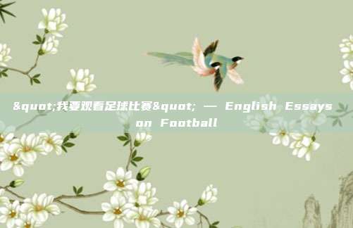 "我要观看足球比赛" — English Essays on Football