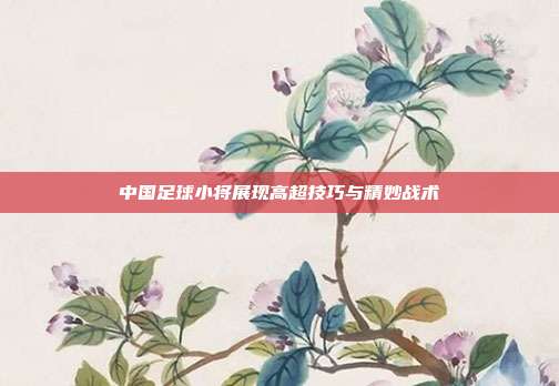 中国足球小将展现高超技巧与精妙战术