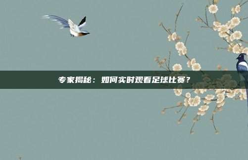 专家揭秘：如何实时观看足球比赛？