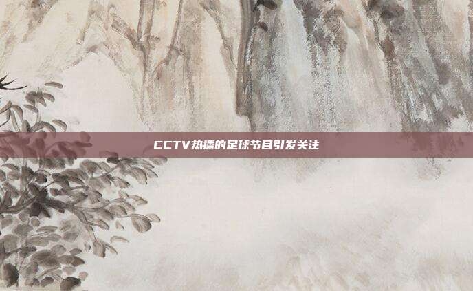 CCTV热播的足球节目引发关注