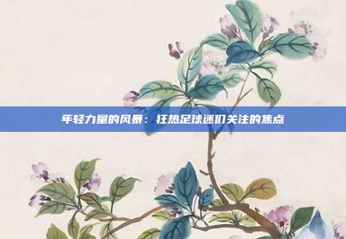 年轻力量的风暴：狂热足球迷们关注的焦点