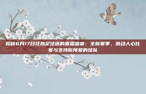 揭秘6月17日狂热足球迷的直播盛宴：全新赛季、激动人心比赛与支持你所爱的球队